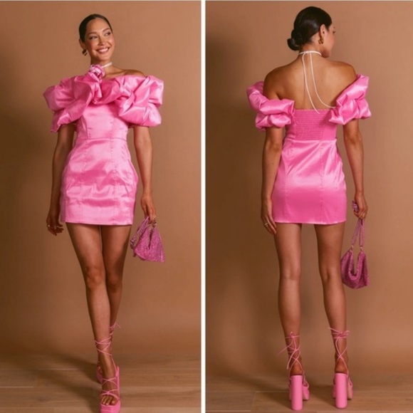 Show Me Your MuMu Dresses & Skirts - New! Show Me Your MuMu Pink Ruffled Mini Dress